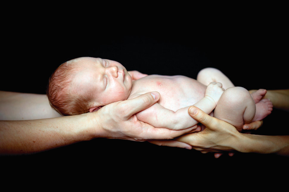 Foto: Max Topchii/Shutterstock. Foto: Max Topchii/Shutterstock.