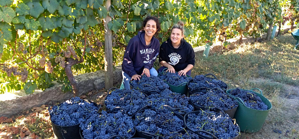 Las emprendedoras que hacen cosmética natural con vino gallego