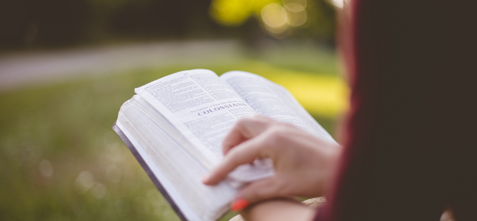 Siete libros para leer esta primavera