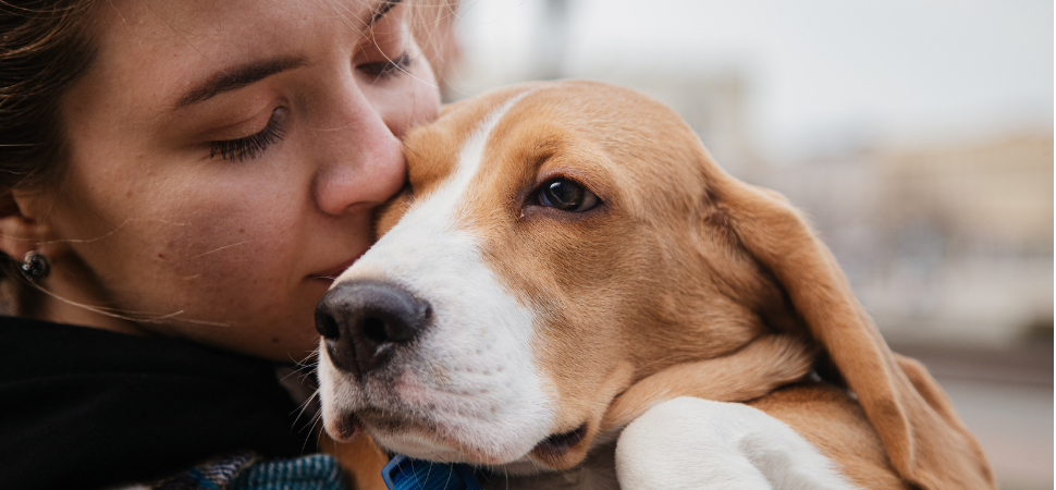 Lo que debes plantearte antes de adoptar una mascota y cómo hacerlo