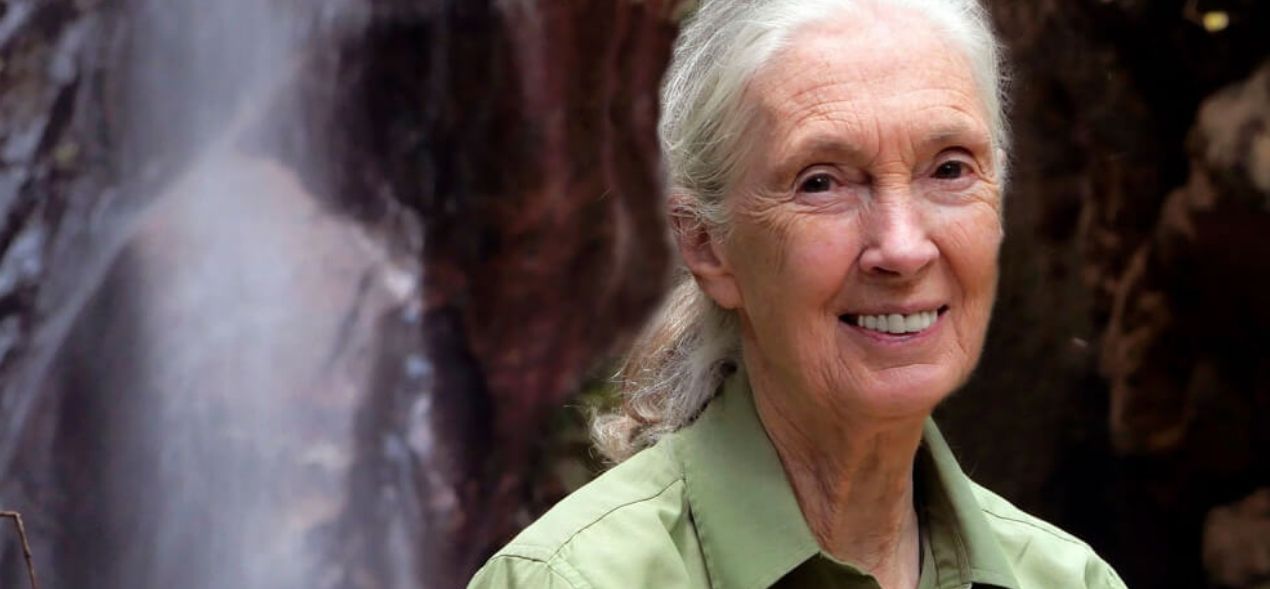 Fallece Jane Goodall