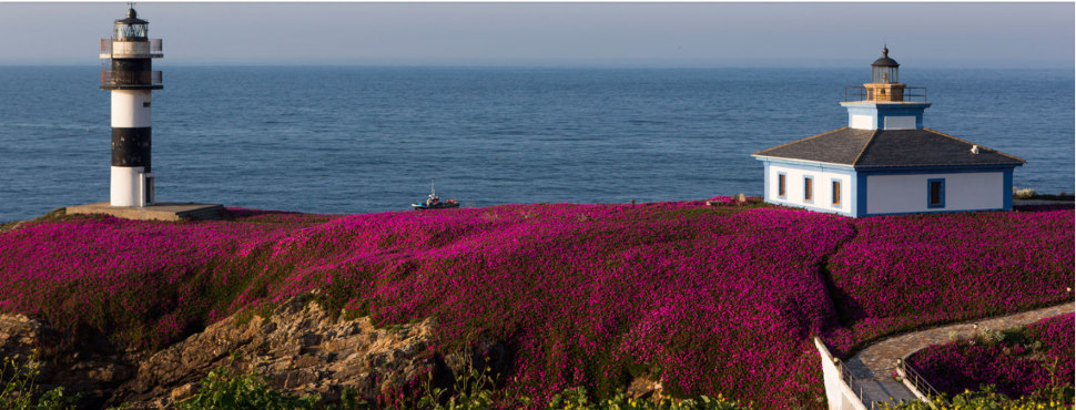 Faro Isla Pancha