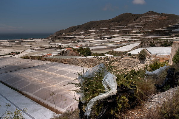 Carchuna, Motril, Granada. Invernaderos que llegan hasta las mismas playas. 